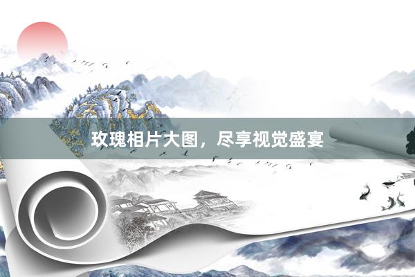 玫瑰相片大图，尽享视觉盛宴